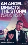Cover: An Angel Directs the Storm - I.B. Tauris