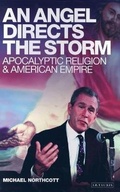 Cover: An Angel Directs the Storm - I.B. Tauris