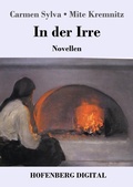 Cover: In der Irre - Hofenberg