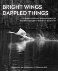 Cover: Bright Wings, Dappled Things - Messenger Publications