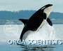 Cover: Orca Scientists - Houghton Mifflin