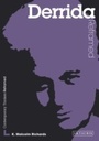 Cover: Derrida Reframed - I.B. Tauris