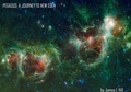 Cover: PEGASUS - Rockhill Publishing LLC