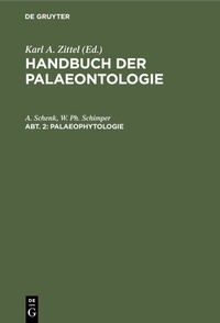 Abbildung von: Palaeophytologie - De Gruyter Oldenbourg