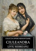 Cover: Ciuleandra - SC Active Business Development SRL