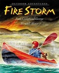 Cover: Fire Storm - Collins