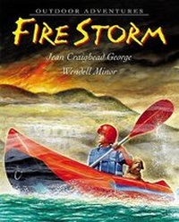 Enlarge image Cover: Fire Storm - Collins
