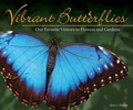 Cover: Vibrant Butterflies - Adventure Publications, Incorporated