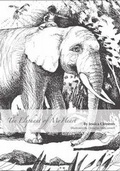 Cover: Elephant of My Heart - CallioViva