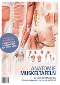 Abbildung von: Anatomie-Muskeltafeln - KVM - Der Medizinverlag
