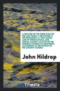 Cover: A Treatise of the Three Evils of the Last Times - Trieste Publishing