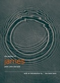 Cover: The Epistles of James, Peter, John and Jude - Canongate Books