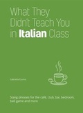 Cover: What They Didn't Teach You in Italian Class - Ulysses Press