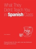 Cover: What They Didn't Teach You in Spanish Class - Ulysses Press