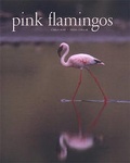 Cover: Pink Flamingos - Abbeville Press Inc.,U.S.
