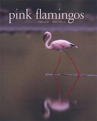 Enlarge image Cover: Pink Flamingos - Abbeville Press Inc.,U.S.