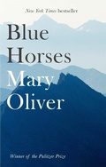 Cover: Blue Horses - Corsair