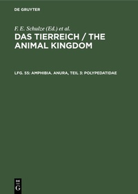 Abbildung von: Amphibia. Anura, Teil 3: Polypedatidae - De Gruyter