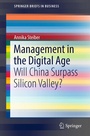 Cover: Management in the Digital Age - Springer
