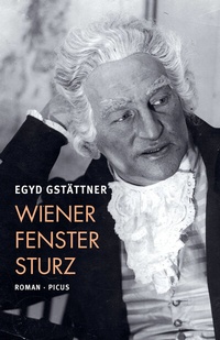 Abbildung von: Wiener Fenstersturz - Picus Verlag