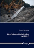 Bild: Gas Network Optimization by MINLP - Logos Berlin