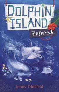 Enlarge image Cover: Shipwreck - Hodder Children's Books
