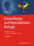 Bild: Entwicklungsbiologie und Reproduktionsbiologie des Menschen und bedeutender Modellorganismen - Springer Spektrum