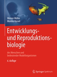 Abbildung von: Entwicklungsbiologie und Reproduktionsbiologie des Menschen und bedeutender Modellorganismen - Springer Spektrum