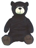 Cover: Jamboree Storytime Level B: Puppet - Heinemann
