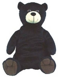 Enlarge image Cover: Jamboree Storytime Level B: Puppet - Heinemann