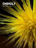 Cover: Chihuly 2019 Weekly Planner - Abrams Calendars