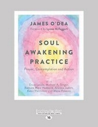 Enlarge image Cover: Soul Awakening Practice - ReadHowYouWant