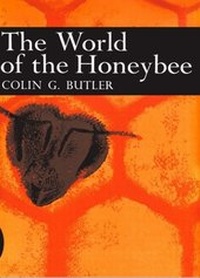 Abbildung von: The World of the Honeybee - William Collins