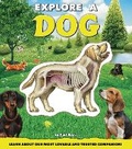 Cover: Explore a Dog - Silver Dolphin Books