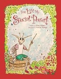 Cover: I've Lost My Special Power! - Bookstand Publishing