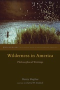 Cover: Wilderness in America - Fordham University Press