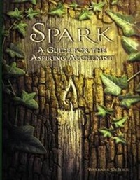Enlarge image Cover: Spark - Barbara DeJesus