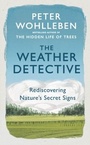 Cover: The Weather Detective - Ebury Digital