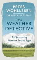 Cover: The Weather Detective - Ebury Digital