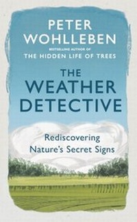 Abbildung von: The Weather Detective - Ebury Digital
