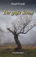 Cover: Der gro&szlig;e Sturm - Rosenheimer Verlagshaus
