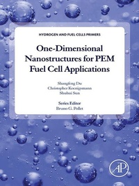 Enlarge image Cover: One-dimensional Nanostructures for PEM Fuel Cell Applications - Academic Press