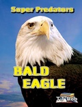 Cover: Bald Eagle - TJ Rob