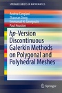 Cover: hp-Version Discontinuous Galerkin Methods on Polygonal and Polyhedral Meshes - Springer