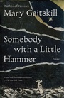 Cover: Somebody with a Little Hammer - Vintage Books