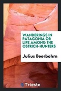 Cover: Wanderings in Patagonia; Or, Life Among the Ostrich-Hunters; - Trieste Publishing