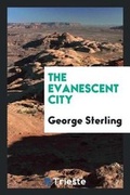 Cover: The Evanescent City - Trieste Publishing