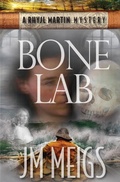 Cover: Bone Lab - Windshadows