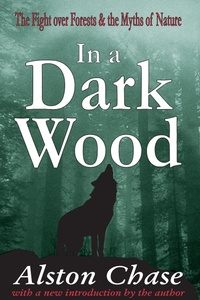 Abbildung von: In a Dark Wood - Routledge