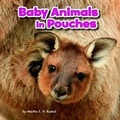 Cover: Baby Animals in Pouches - Raintree